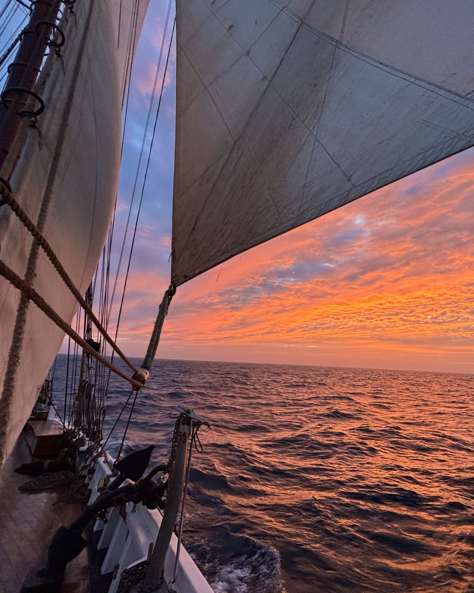 SailBluenoseII's tweet image. Every transit between ports is special. But our last transit was something else!
Losing sight of land, experiencing sunsets and sunrises at sea, and feeling the motion of the open ocean are memories that will stay with the crew for years to come.