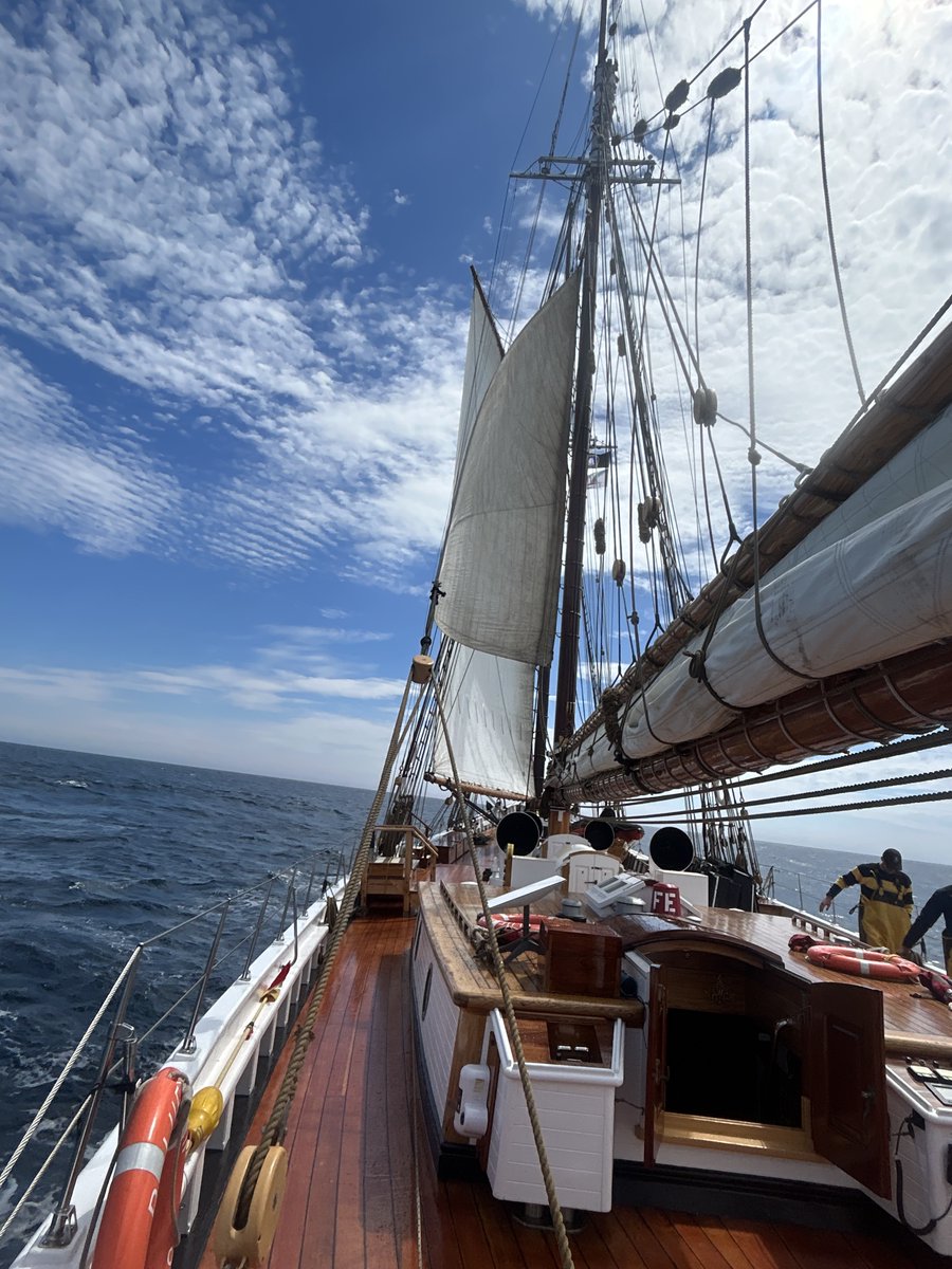 SailBluenoseII's tweet image. Every transit between ports is special. But our last transit was something else!
Losing sight of land, experiencing sunsets and sunrises at sea, and feeling the motion of the open ocean are memories that will stay with the crew for years to come.