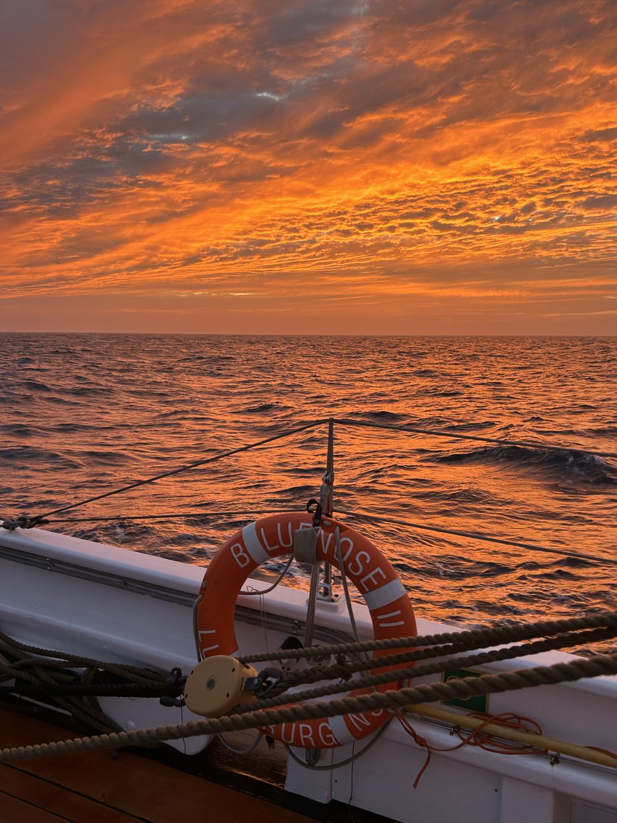 SailBluenoseII's tweet image. Every transit between ports is special. But our last transit was something else!
Losing sight of land, experiencing sunsets and sunrises at sea, and feeling the motion of the open ocean are memories that will stay with the crew for years to come.