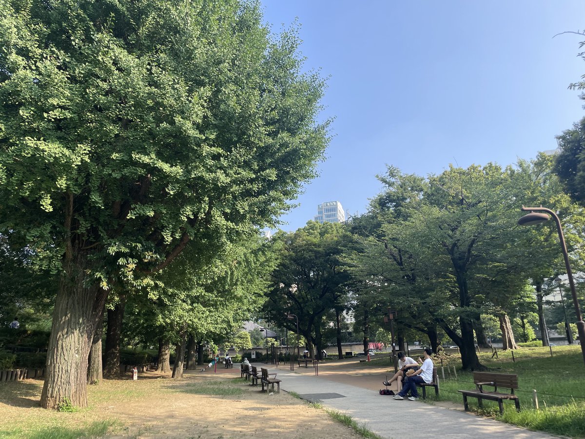 ３つの芝公園巡り③
『都立芝公園』

増上寺や東京プリンスホテルをぐるりと取り囲むような珍しい形をした公園です。今回は17号地を訪れました。比較的木陰が多いので日差しを避けて過ごすことができます😎

#Midori #自然 #公園 #アウトドア #自然情報ポータルサイト