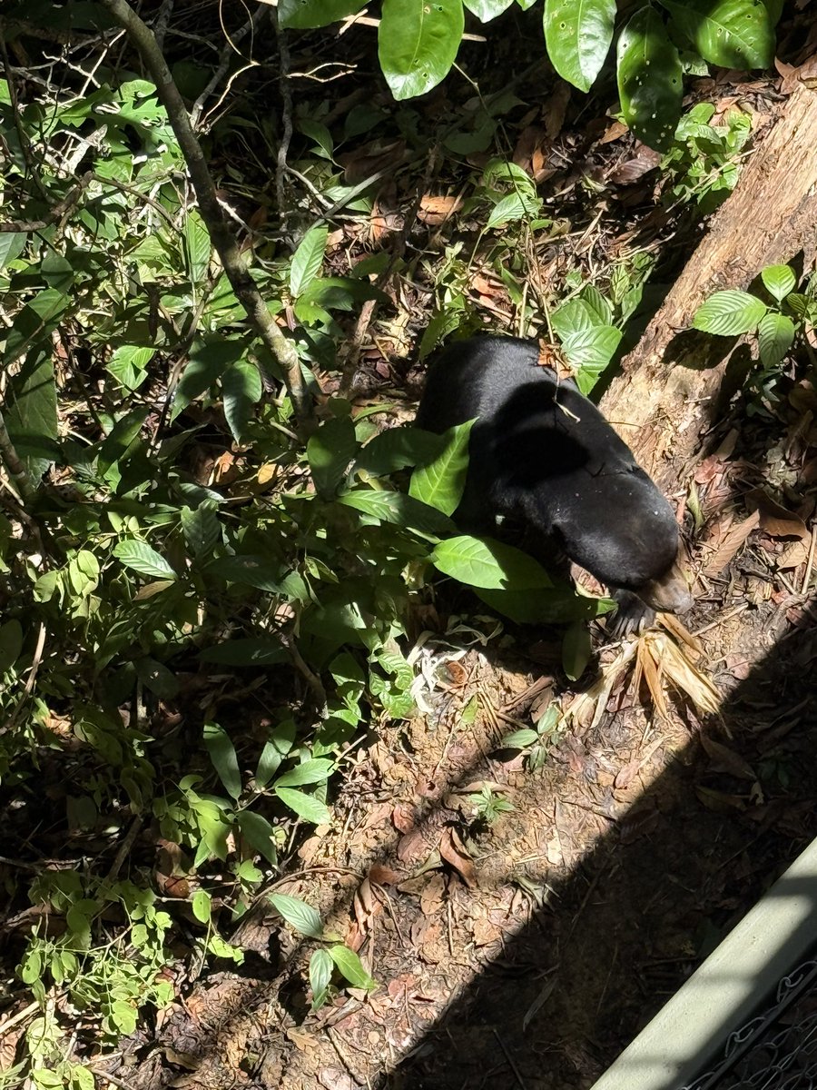 Ponteland High tweet media