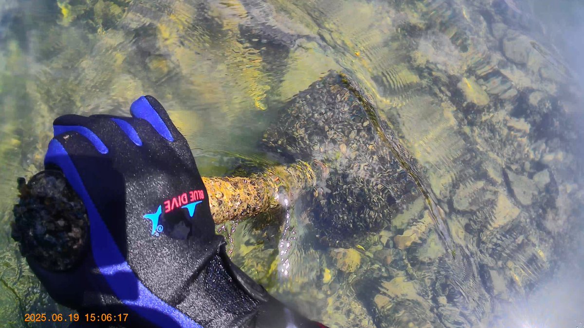 MilHiVisualized's tweet image. Cleaning up in the river: youtube.com/watch?v=sNxKCc…