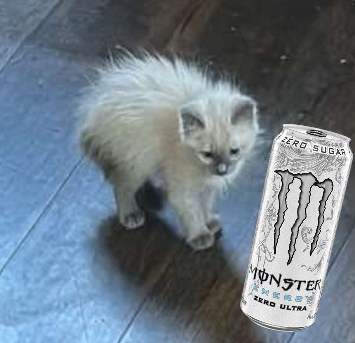 It’s two white monsters in this photo