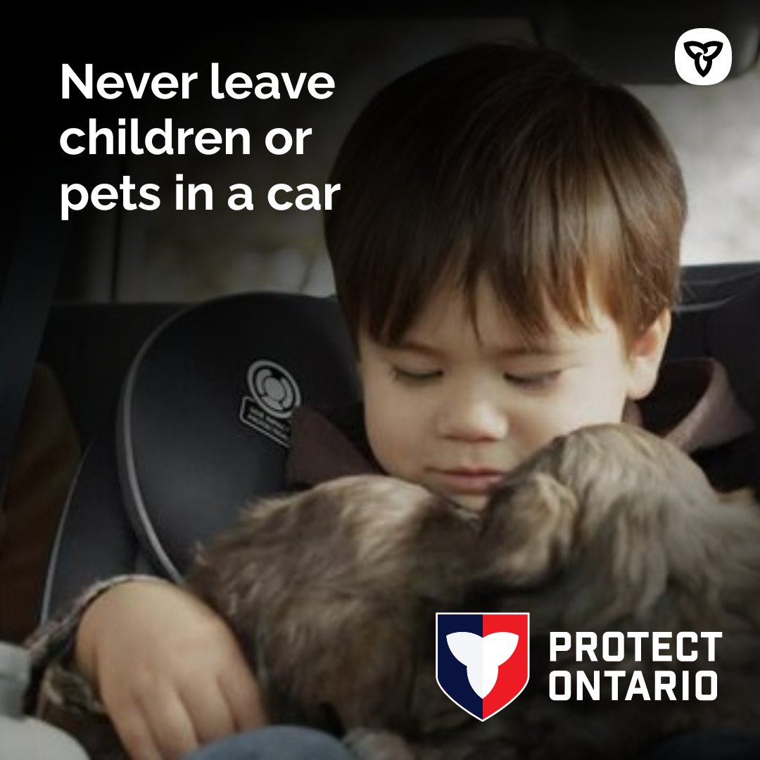 As the heat rises, remember to never leave kids or pets unattended in a vehicle, even if the window is down.

Temperatures inside can quickly soar well beyond the temperature outside. Even a few minutes can be deadly. 

Call 911 if you see a child or pet trapped in a car.