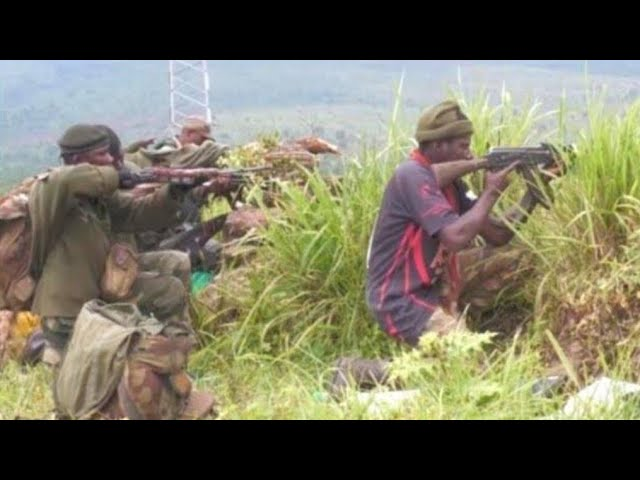 DRCNewsToday's tweet image. 🔴 #Guerre_du_M23_dans_le_S_Kivu
À #Kahungu (#Kabare, Sud-Kivu), les Wazalendo ont infligé une lourde défaite au M23/AFC : tactiques de jungle maîtrisées, discipline militaire, +1 0 ennemis neutralisés, zones stratégiques reprises. Le drapeau 🇨🇩 flotte à nouveau. #RDC #Wazalendo