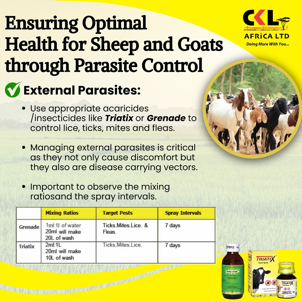 A consistent parasite control routine is one of the most important steps in ensuring the health and performance of your flock. External and internal parasites don’t just cause discomfort, they lower productivity and can transmit serious diseases. Save this guide for later