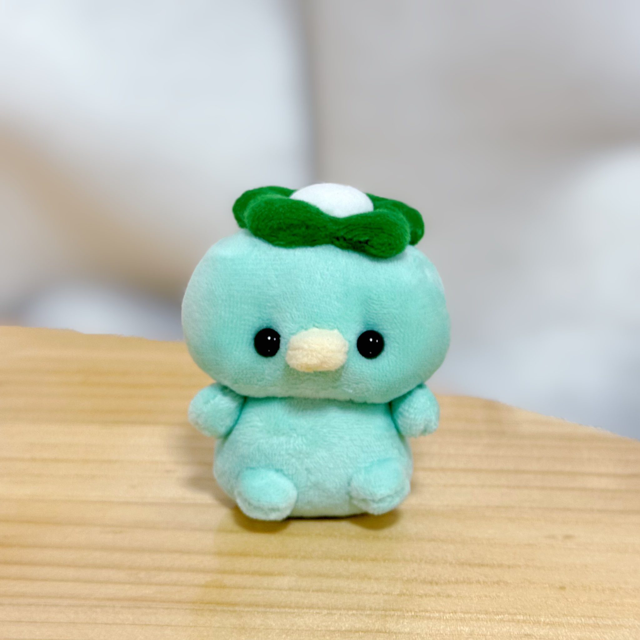 かっぱ(´∀｀=) 🪞