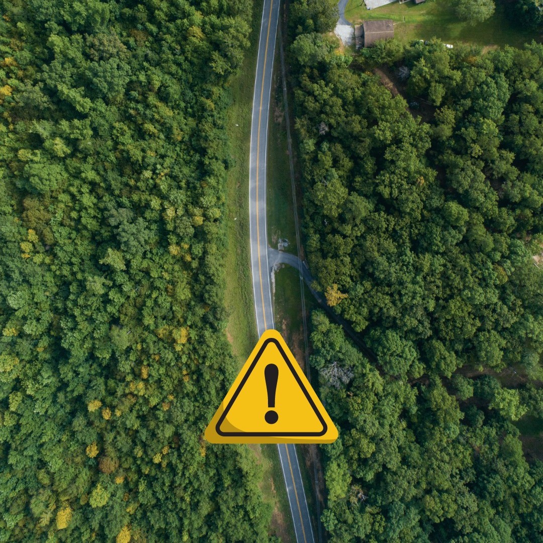 DriveSafeAL's tweet image. In 2023 in Alabama, 56% of crashes occurred in rural areas.
National Center for Rural Road Safety is bringing rural road safety to the forefront to save your neighbors and ours! #RRSAW2025