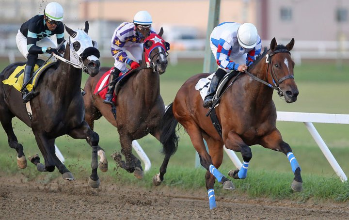 CARRYOVER Monday July 14th <a href="/BCRacebook/">Racebook</a> <a href="/HPIbet/">HPIbet</a> #watchwagerwin

Pick-5▪️$300,804.52 <a href="/AssiniboiaDowns/">Assiniboia Downs</a> 
Races #3 thru #7

✅Download the HPIbet App or visit hpibet.com for a full list of daily carryovers