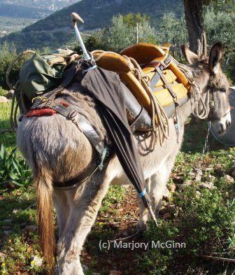 fatgreekodyssey's tweet image. Kindle Monthly Deal!
Funny candid Greek memoir.
Two writers & Wallace the terrier
up to mischief in wild rural Greece.
A snip at #99p
#Amazon #bestseller mybook.to/ThingsCanOnlyG… #MondayMorning
@DurrellSociety
#BooksWorthReading #WritingCommunity
#memoirs #writersoftwitter