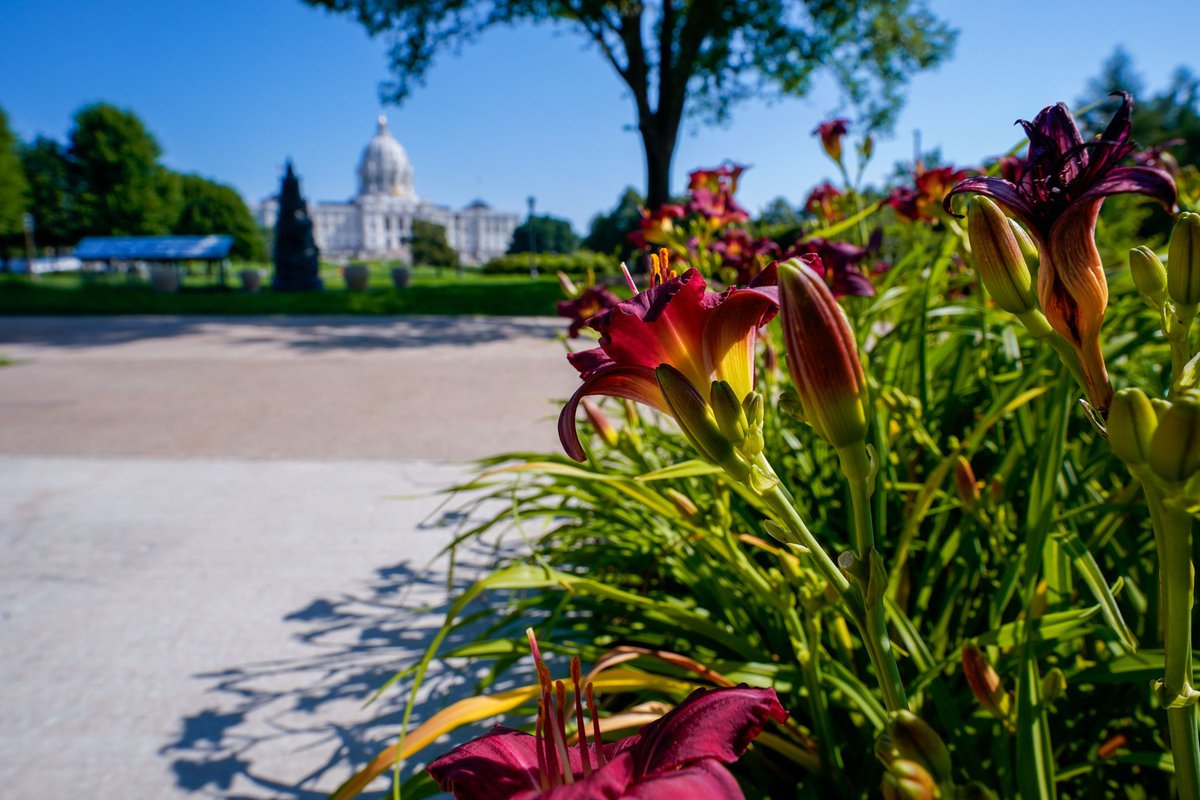 MNHouseInfo's tweet image. 🗓️ This week's combined #mnleg schedule leg.mn.gov/cal?type=week