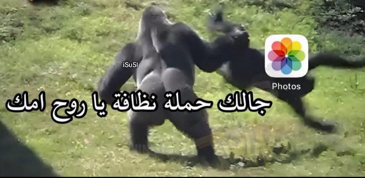اذا خلص النت
