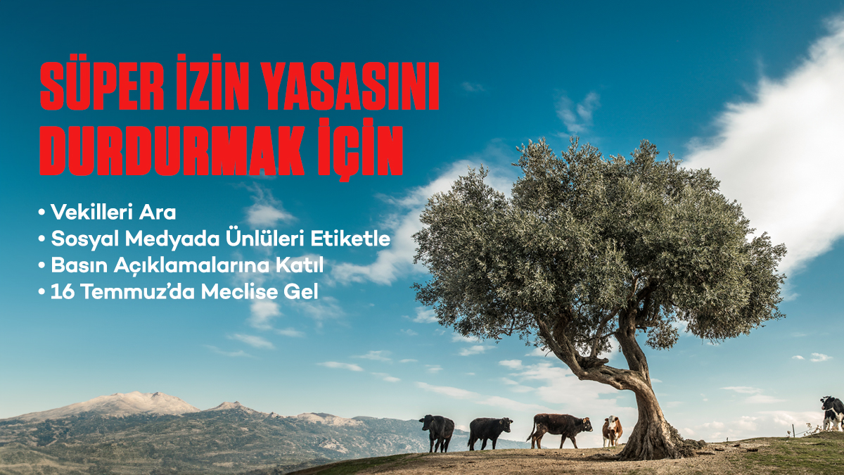 Doğamızı Tehdit Eden Kanun Teklifi Geri Çekilsin!

Maden Kanunu’nda Değişiklik Yapılmasına Dair Kanun Teklifi, TBMM Genel Kurulu’nun 16 Temmuz Çarşamba gündemine alındı.

Bu teklif, zeytinlikleri, tarım alanlarını, ormanları, meraları, korunan alanları, kıyıları ve sulak alanları