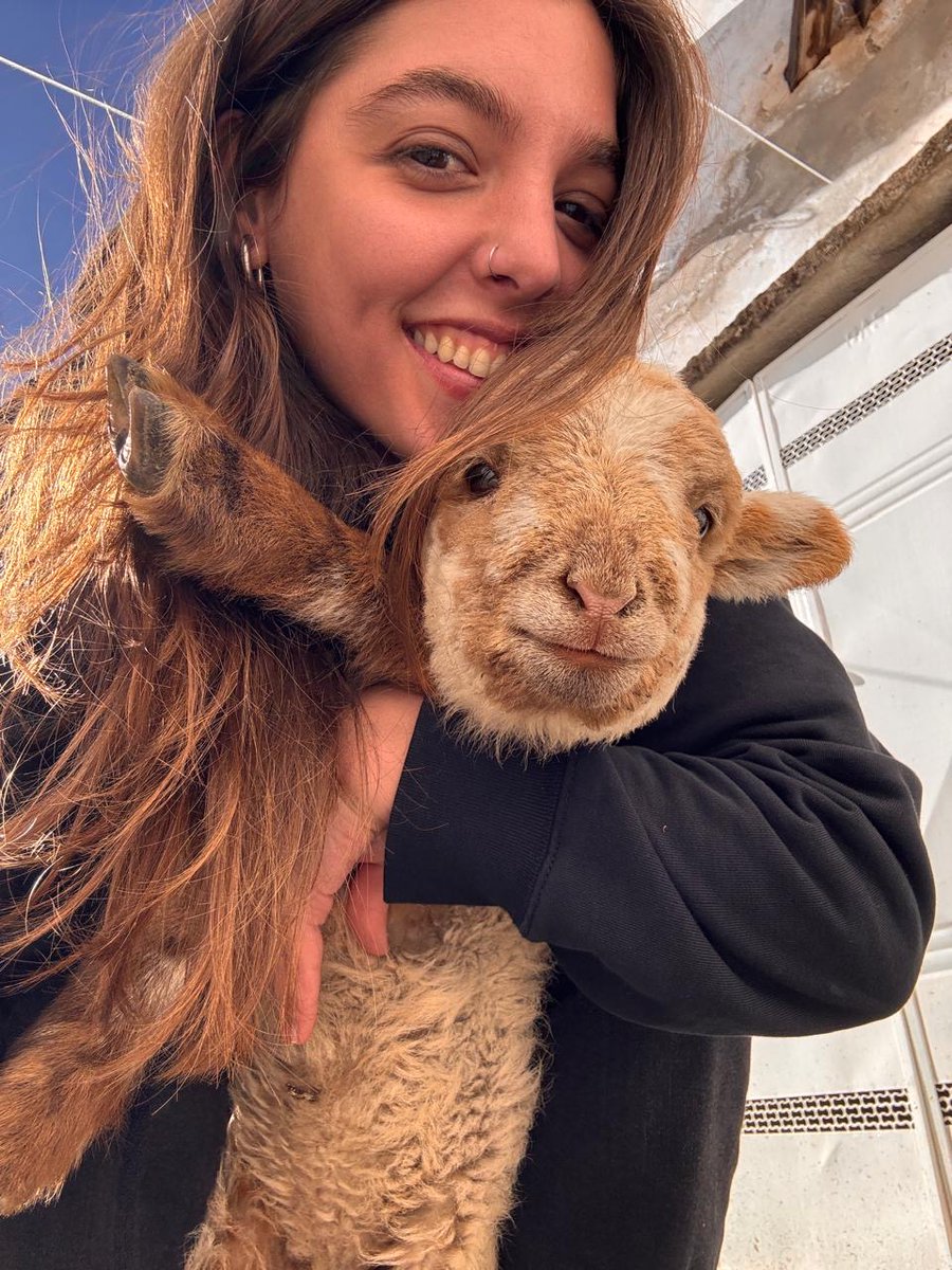 Panter Xhita tweet media