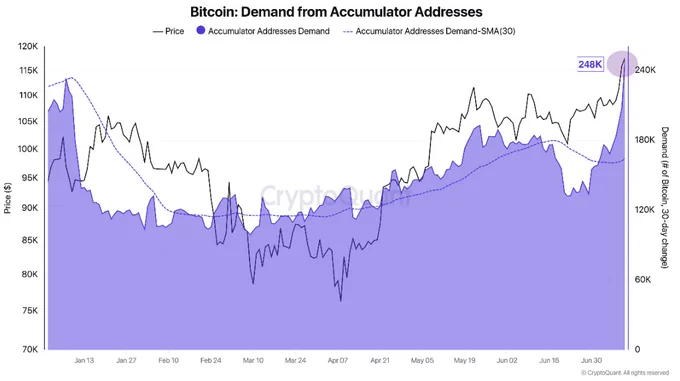 🚨 BREAKING: "Record Storico: 248.000 BTC Aggiunti dagli Indirizzi di Accumulo nel 2025"