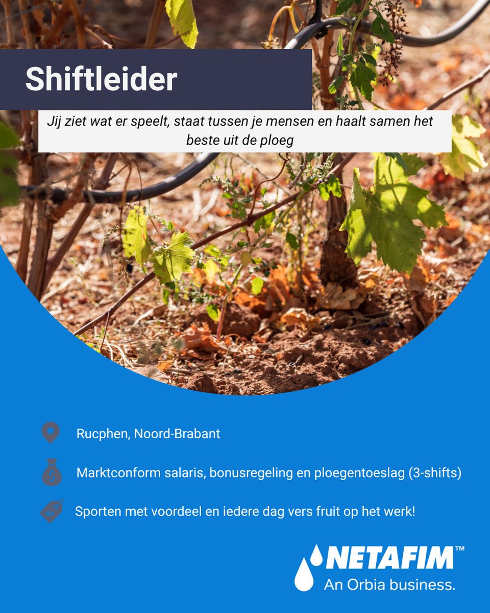 Vacature in de spotlight:

👷𝙇𝙚𝙞𝙙𝙞𝙣𝙜𝙜𝙚𝙫𝙚𝙣 𝙤𝙥 𝙙𝙚 𝙫𝙡𝙤𝙚𝙧 𝙢𝙚𝙩 𝙤𝙤𝙜 𝙫𝙤𝙤𝙧 𝙢𝙚𝙣𝙨𝙚𝙣, 𝙠𝙬𝙖𝙡𝙞𝙩𝙚𝙞𝙩 𝙚𝙣 𝙧𝙚𝙨𝙪𝙡𝙩𝙖𝙖𝙩! Jij zorgt ervoor dat alles op rolletjes loopt: van veiligheid tot output. comeet.com/jobs/netafim/B…