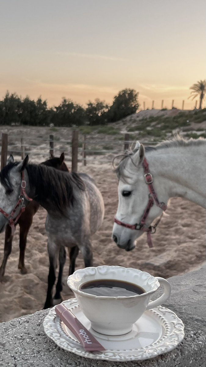 u &amp; i 🪽
the perfect combination