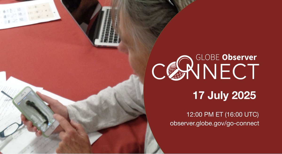 GLOBEProgram's tweet image. Join us today at 12:00 pm ET (16:00 UTC) for the latest GLOBE Observer Connect Event. Come hear how our guest speakers Dr. Rusty Low, Dr. Di Yang, and Peder Nelson, and their collaborators are using AI to analyze GLOBE data and how GLOBE Observer uses AI to protect your privacy…