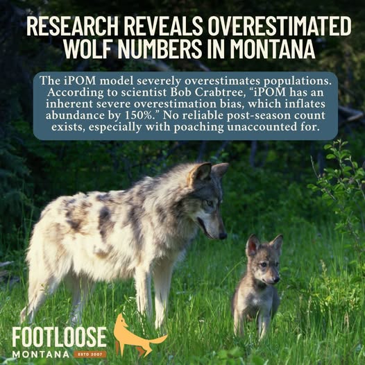 BanKillingContests (@bankillcontests) on Twitter photo Hey, Guys! <a href="/MontanaFWP/">Montana FWP</a> is futzing with the numbersπ€―Don't be fooled...they're intent on killing even more wolves. Tell them why wolves are essential to you: fwp.mt.gov/aboutfwp/commiβ¦ Hey, Guys! <a href="/MontanaFWP/">Montana FWP</a> is futzing with the numbersπ€―Don't be fooled...they're intent on killing even more wolves. Tell them why wolves are essential to you: fwp.mt.gov/aboutfwp/commiβ¦