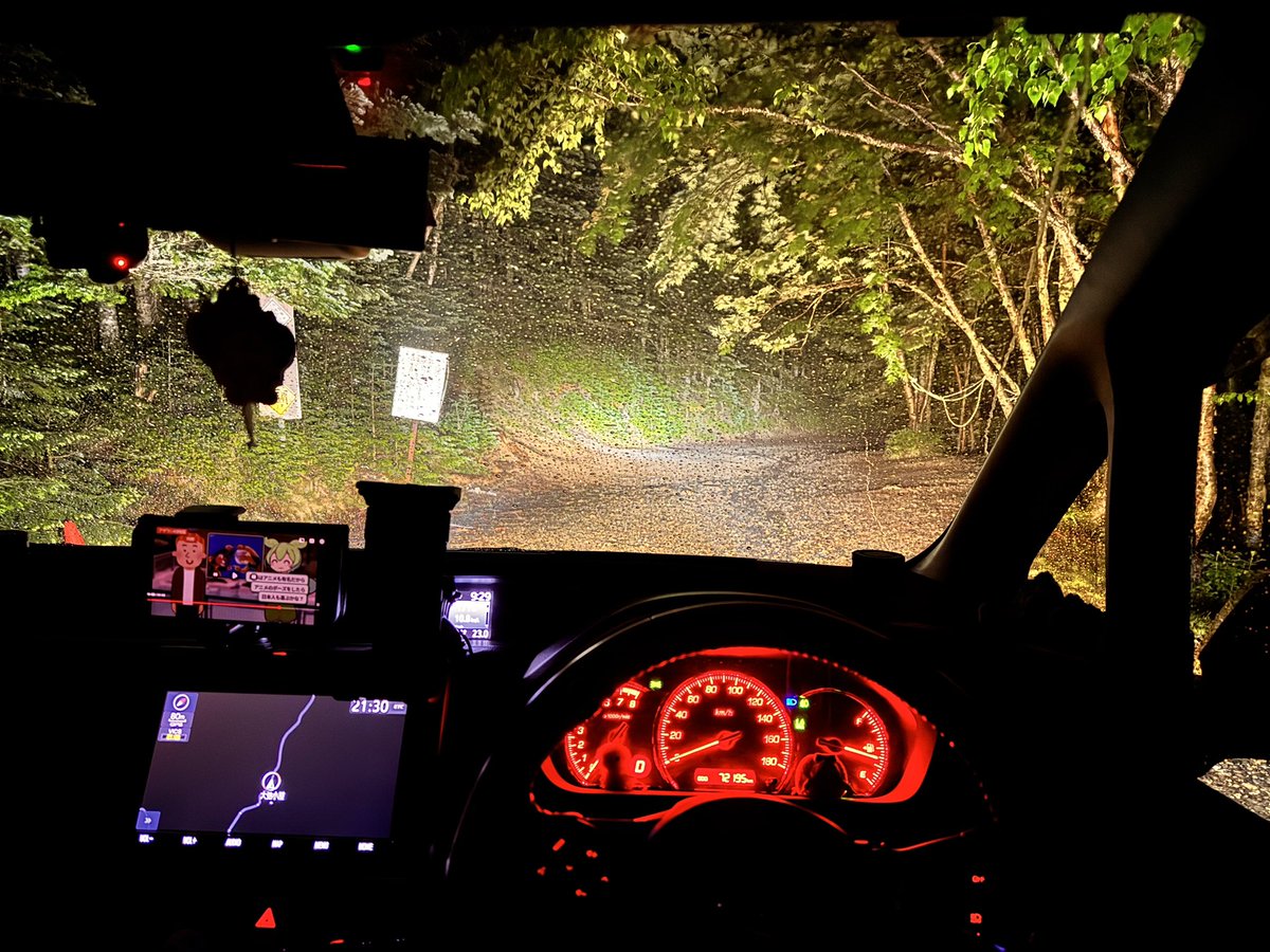 自動車 300系ランクル（ZX） 純正加工LEDリフレクター 減回路付き