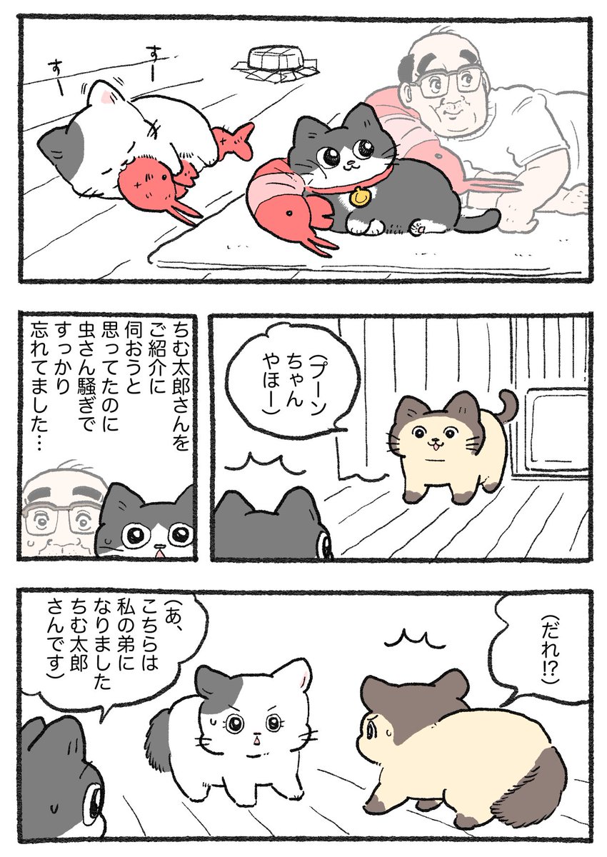 ねこおじ様 ねこに転生したおじさん。その755