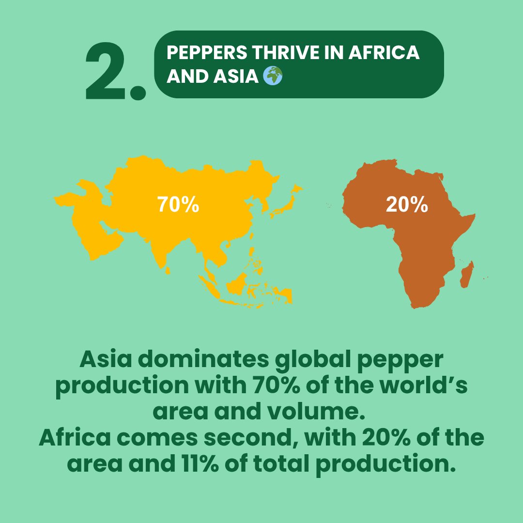 CGIARbreeding's tweet image. 🍅🌶️Tomatoes & peppers are vital to diets & economies in #Africa & #Asia. @WorldVegCenter & @CGIAR are teaming up to breed the next-gen varieties!
🔎A new #MarketIntelligence brief maps out tomato & pepper market segments in Africa
📄 Read: hdl.handle.net/10568/174902 Highligths ⤵️