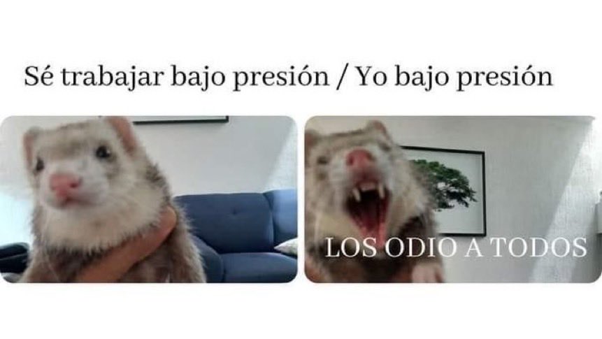 Indudablemente
