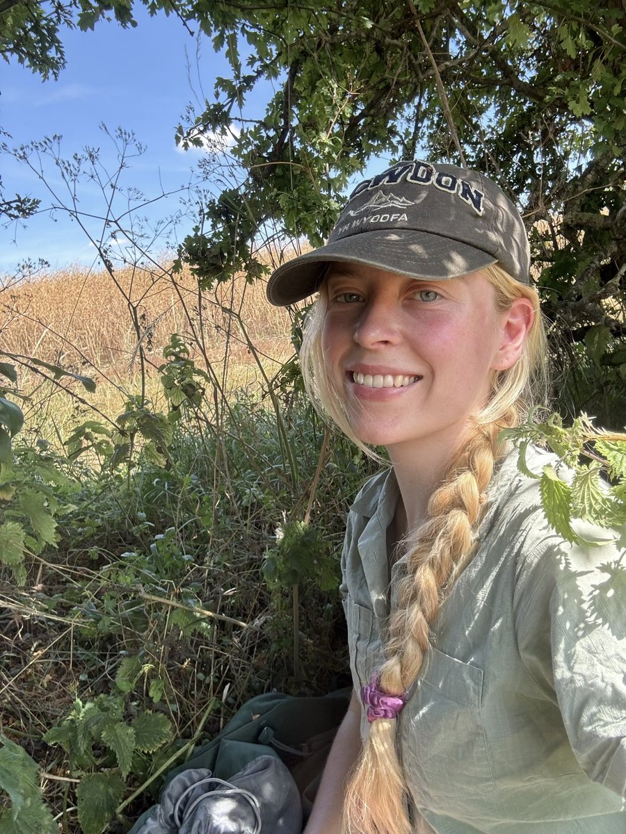 juliet_turner6's tweet image. What ecological surveying looks like when it’s 30 degrees: crawling inside a hedge to take a break because it’s the only way to get out of the sun.
Now I viscerally understand how important farmland hedgerows are for wildlife - it’s a real lifeline 🦌🐍🪺