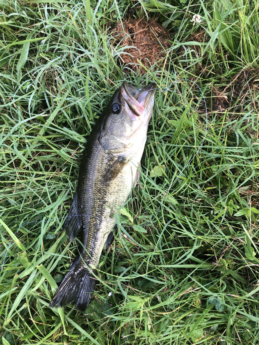 Austin867699972's tweet photo. Fishing be for work https://t.co/74HUj6gSBg