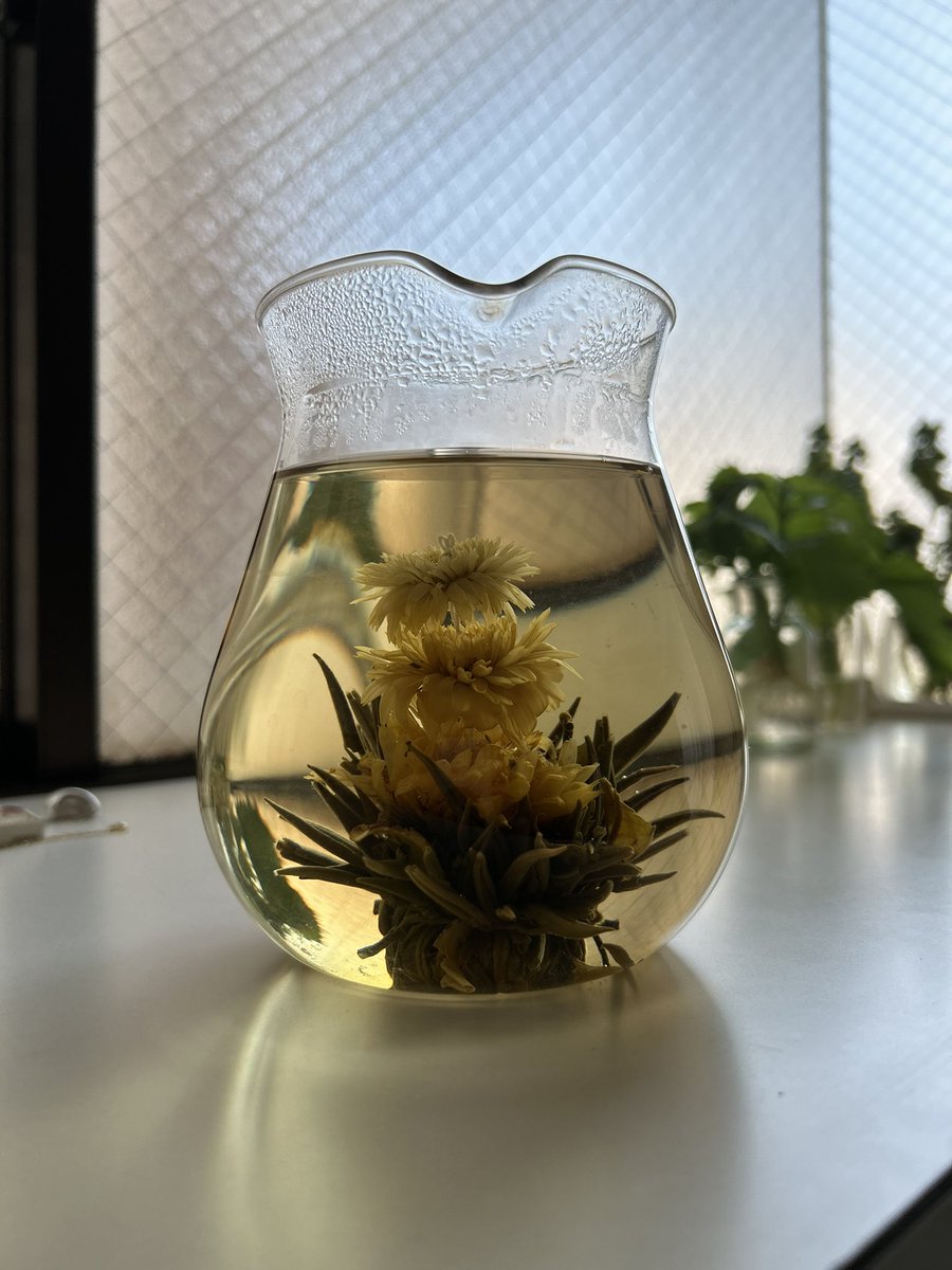 ムライ カナメ (@murai_kaname) on Twitter photo 