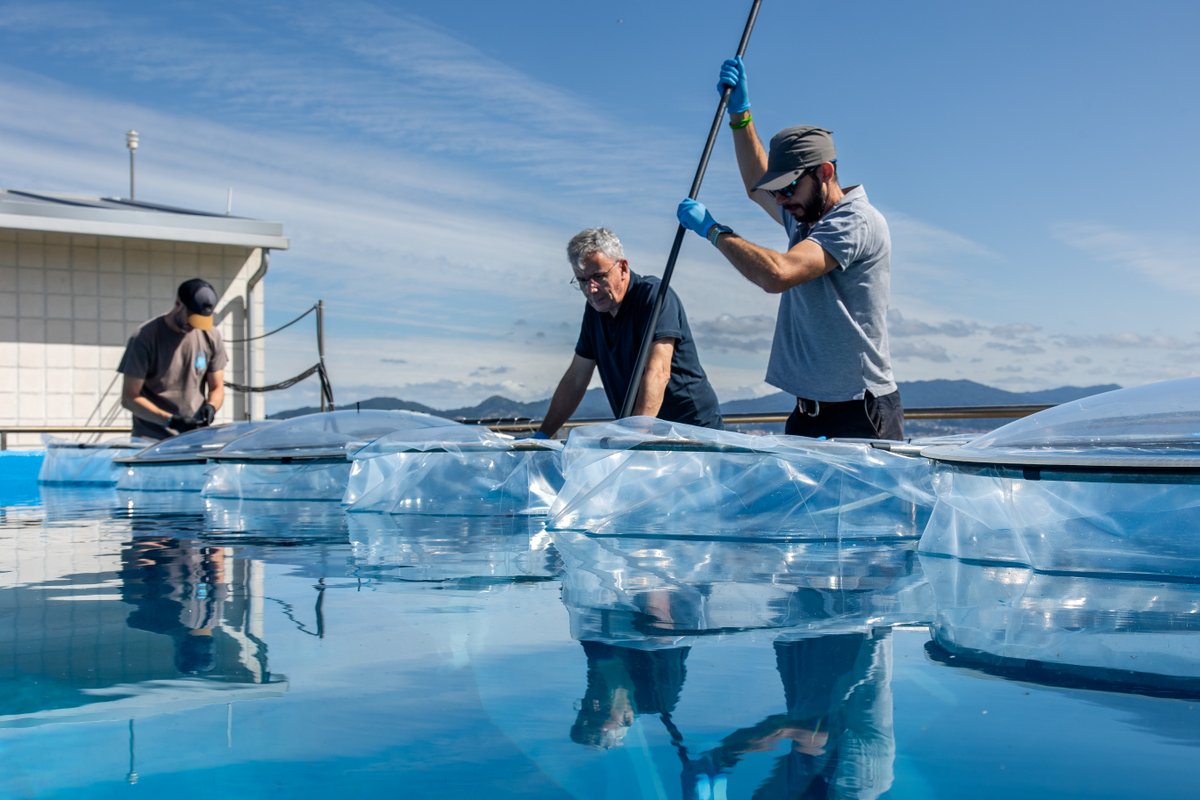[1/4]
📣 Tecnoloxía punteira no #CIM para entender o océano! +40 científico/as de 5 países participan en #CELLBLOOM, unha campaña co <a href="/embl/">EMBL</a> que combina experimentos simultáneos nas infraestruturas singulares da #ECIMAT. <a href="/embrc_spain/">EMBRC-Spain</a> #RedeCIGUS #EUFunds #HR 
cim.uvigo.gal/2025/07/do-mar…