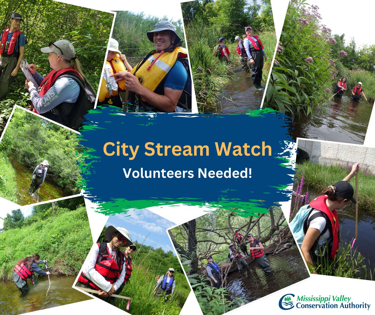 Join us in July &amp; August for City Stream Watch 2025! This year we will be assessing Cody Creek. Volunteer to monitor and report on information about our urban creeks and streams in the City of Ottawa! Interested in joining us? Learn more and sign up: mvc.on.ca/call-for-city-…