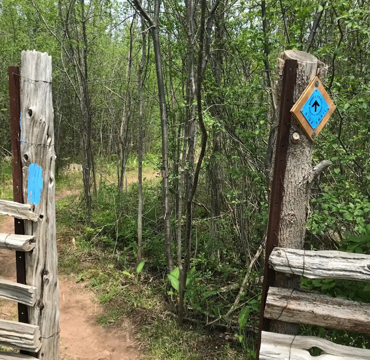 Toronto Bruce Trail tweet media