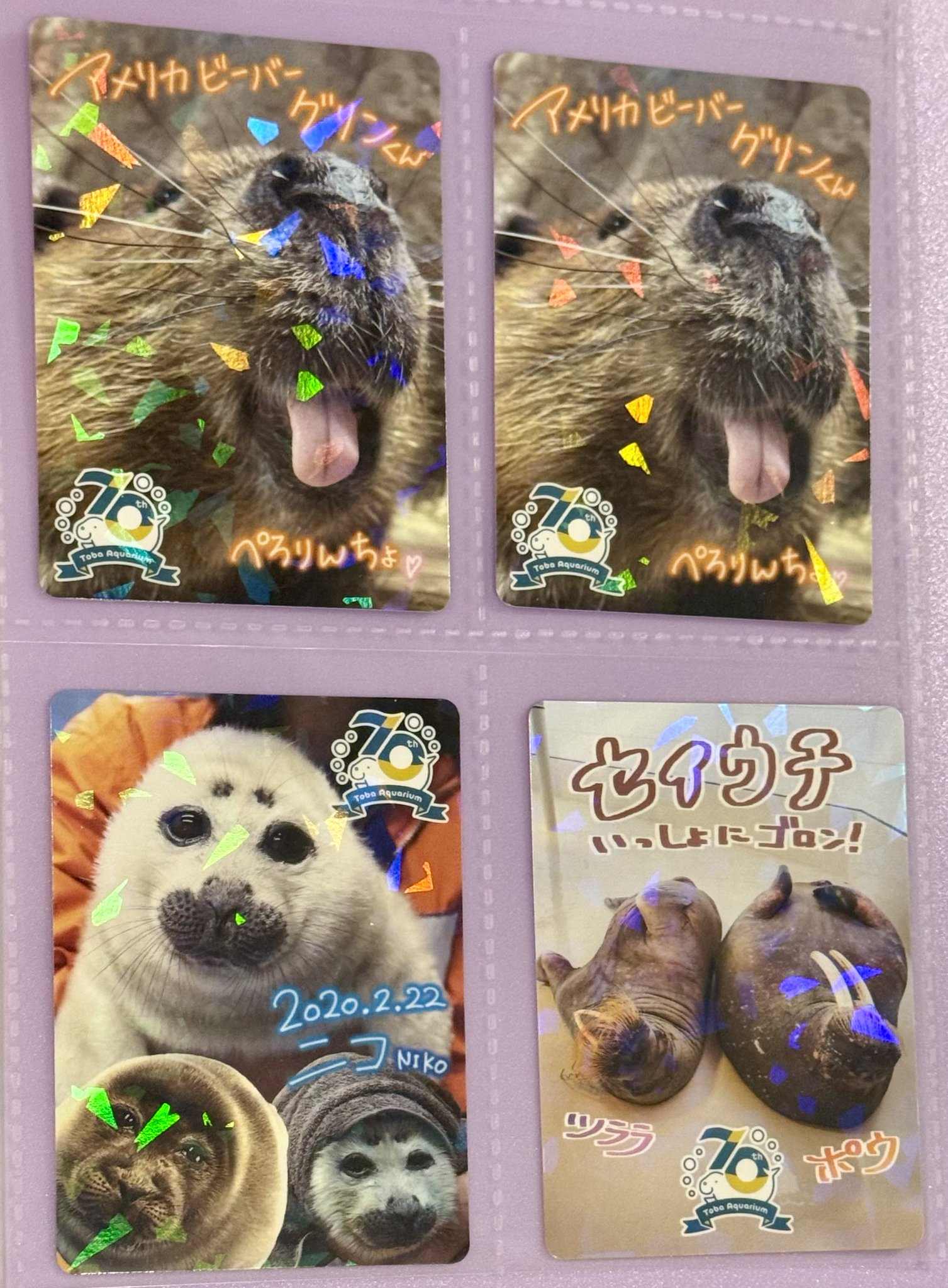 【レア】鳥羽水族館 バイカルアザラシ ニコ コレクションカード コレカ 1枚100円＋送料】鳥羽水族館コレクションカード