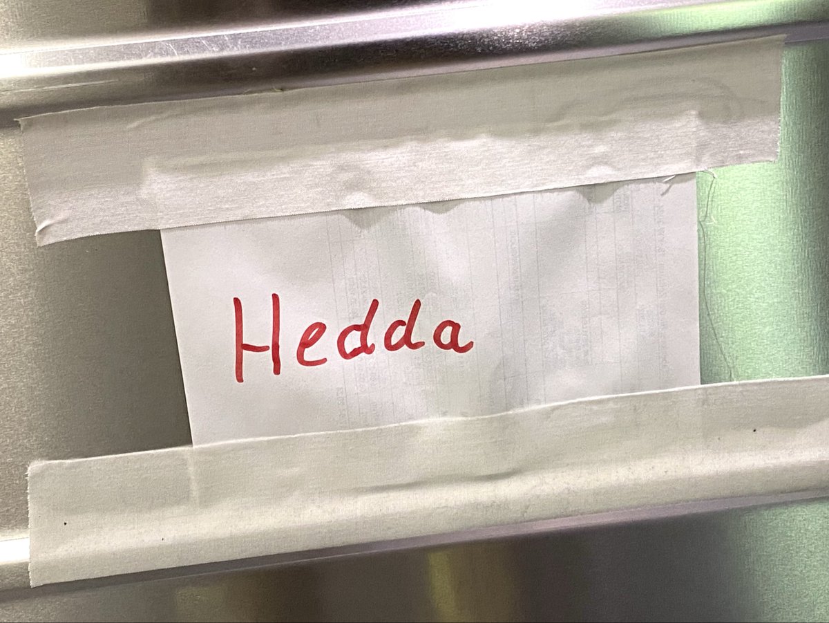 zum letzten Mal in dieser Spielzeit: im Neuen Haus zeigen wir heute zum Theatertag nochmal "Hedda" - bereits seit Wochen ausverkauft. gerade wird das Bühnenbild bestehend aus einem großen Wolkenvorhang aufgebaut. #BEhedda #BEbackstage