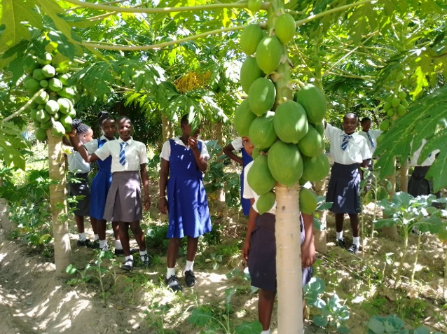 NLinZimbabwe's tweet image. New project launched! 🇳🇱🤝🇿🇼
Excited to partner @SCOPEZIM on a 1-year initiative that will have learners, educators, and communities co-creating solutions in water, waste, and sustainable agriculture. This means:
🌱Developing permaculture/water harvesting/agroforestry projects…