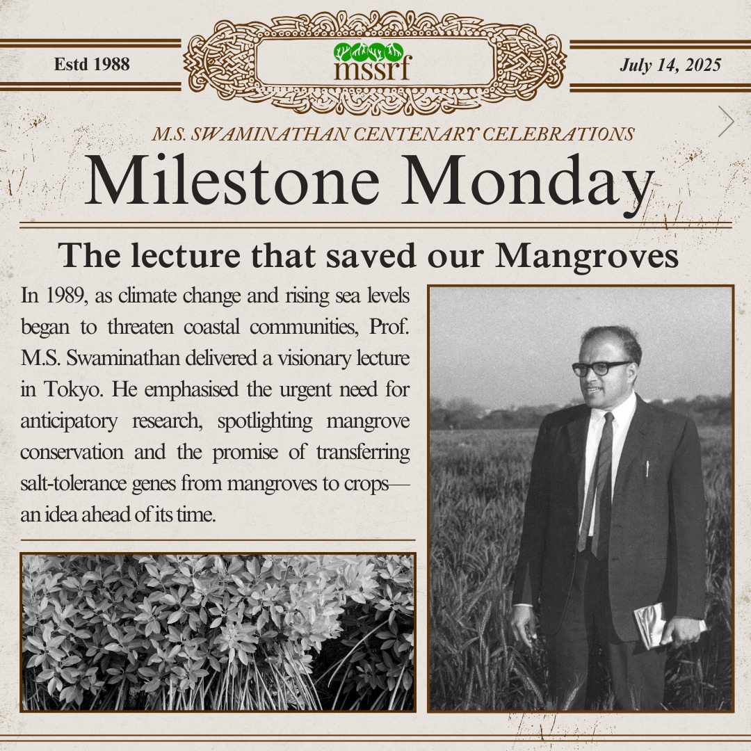 mssrf's tweet image. #MilestoneMonday
Celebrating the centenary of Prof. M.S. Swaminathan with a tribute to a vital legacy — mangrove conservation.
As early as the 1990s, Prof. Swaminathan through the M.S. Swaminathan Research Foundation (MSSRF), pioneered community-led mangrove conservation in…