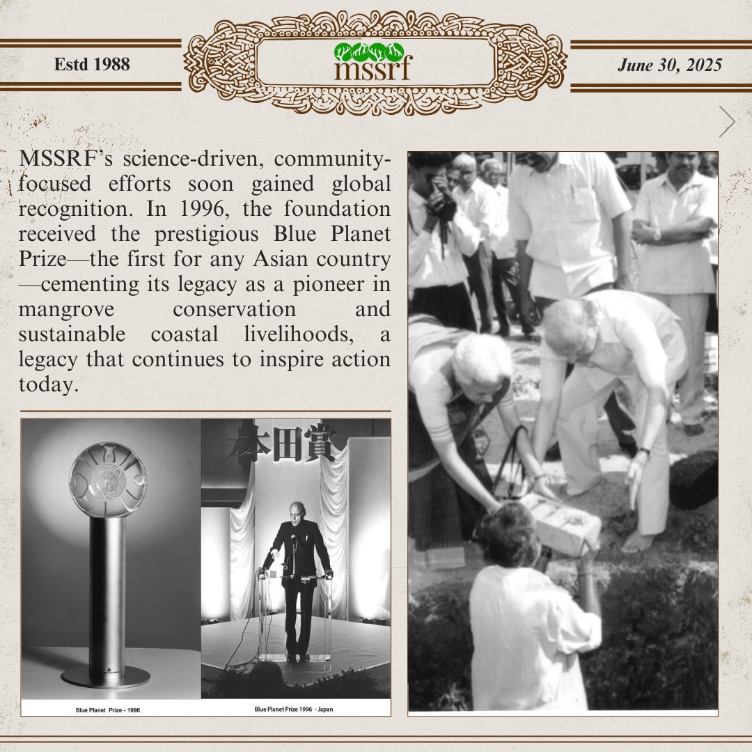 mssrf's tweet image. #MilestoneMonday
Celebrating the centenary of Prof. M.S. Swaminathan with a tribute to a vital legacy — mangrove conservation.
As early as the 1990s, Prof. Swaminathan through the M.S. Swaminathan Research Foundation (MSSRF), pioneered community-led mangrove conservation in…
