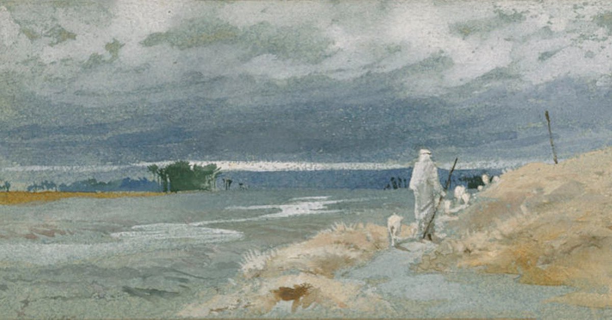 Allyson Howell tweet media