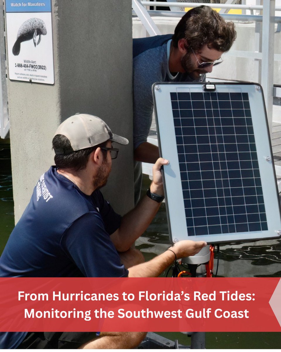 FondriestEnv (@fondriestenv) on Twitter photo Nearly every year, southwest Florida is blighted by harmful Karenia brevis blooms–known colloquially as Florida red tides.
Learn how researchers are using technologies to understand them➡️ fondriest.com/news/from-hurr…
PC: Adapted from Adam Catasus.
<a href="/secoora/">SECOORA</a>
<a href="/NexSens_/">NexSens Technology</a>
<a href="/fgcu/">Florida Gulf Coast University</a> Nearly every year, southwest Florida is blighted by harmful Karenia brevis blooms–known colloquially as Florida red tides.
Learn how researchers are using technologies to understand them➡️ fondriest.com/news/from-hurr…
PC: Adapted from Adam Catasus.
<a href="/secoora/">SECOORA</a>
<a href="/NexSens_/">NexSens Technology</a>
<a href="/fgcu/">Florida Gulf Coast University</a>