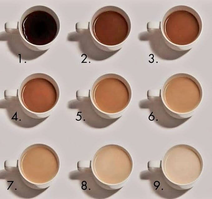 Suricato 💎 tweet media