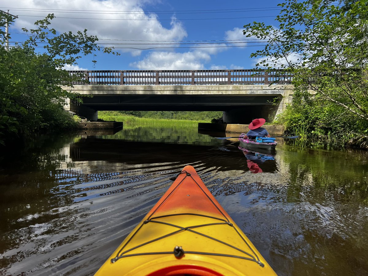 Artnome (@artnome) on Twitter photo 