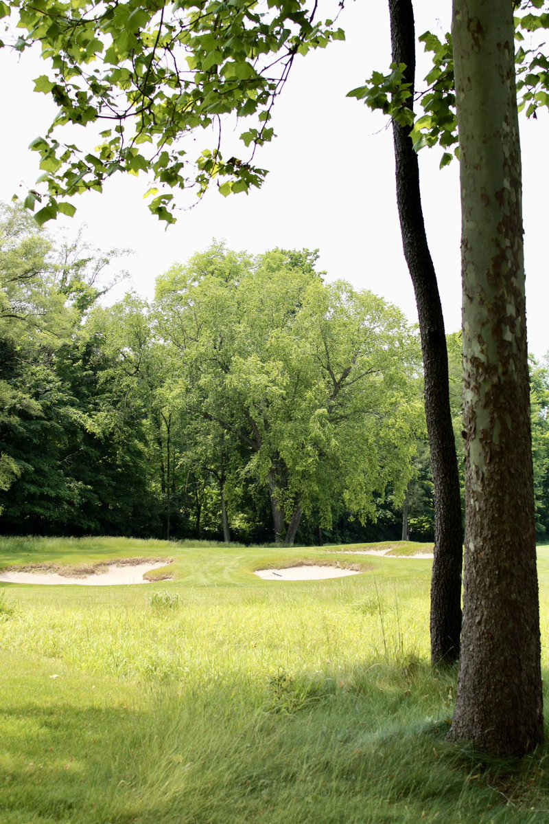 WarrenGolfND's tweet image. Our feature hole today is hole 8⛳️
Hole 8 is a 441 yard par 4 with a slight dogleg left. Accuracy off the tee is key, and the green is well-guarded, demanding a precise approach. A true test of control before the turn☘️
#warrengolfcourse #golf #featurehole #goirish