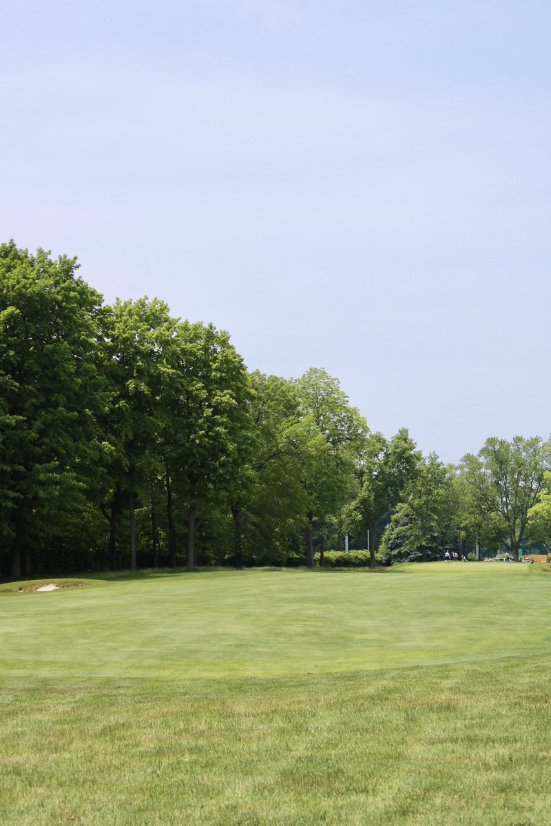 WarrenGolfND's tweet image. Our feature hole today is hole 8⛳️
Hole 8 is a 441 yard par 4 with a slight dogleg left. Accuracy off the tee is key, and the green is well-guarded, demanding a precise approach. A true test of control before the turn☘️
#warrengolfcourse #golf #featurehole #goirish