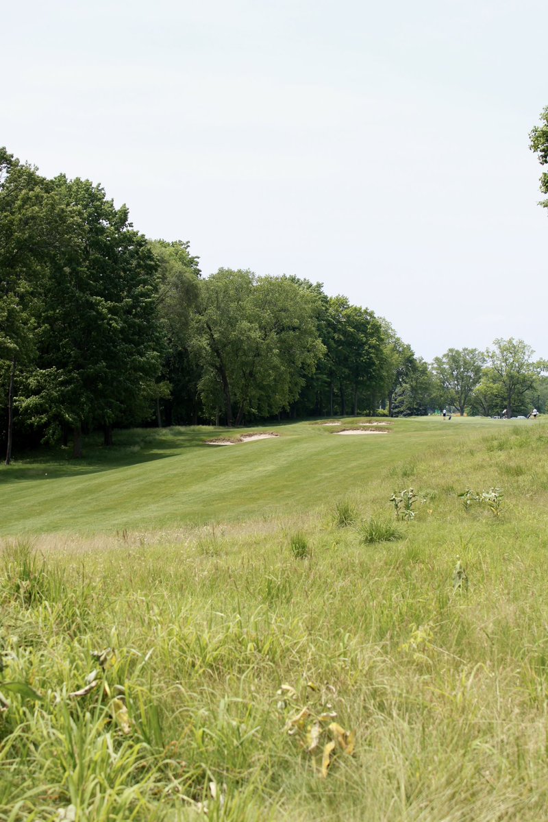 WarrenGolfND's tweet image. Our feature hole today is hole 8⛳️
Hole 8 is a 441 yard par 4 with a slight dogleg left. Accuracy off the tee is key, and the green is well-guarded, demanding a precise approach. A true test of control before the turn☘️
#warrengolfcourse #golf #featurehole #goirish