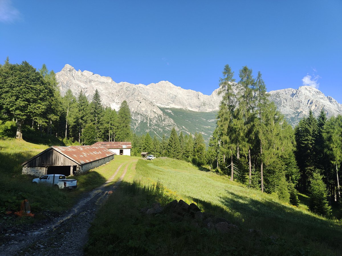 galloforcello2's tweet photo. Simposio con sfondo orribile della
#civetta
e del gruppo della
#moiazza visti dalla Casera Bidoch 
#valdigoima
#valdizoldo
#belluno
#14luglio2025

Scusate se è orribile e se vi urta la sensibilità, in caso tolgo. https://t.co/ag3IeWC8gJ