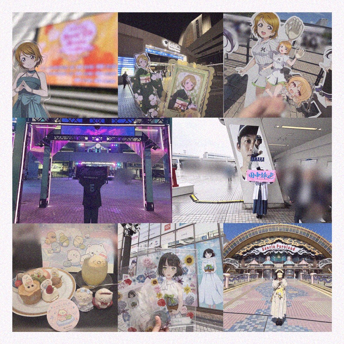 ぽむこ tweet media