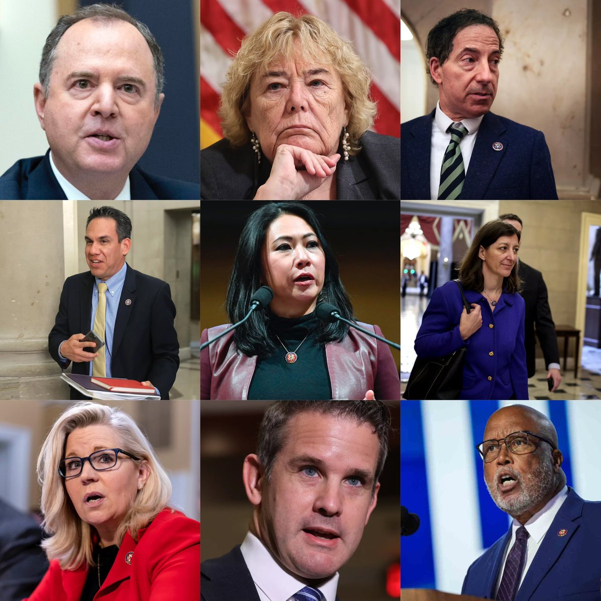 Cuff and perp walk the sham J6 Select Committee!