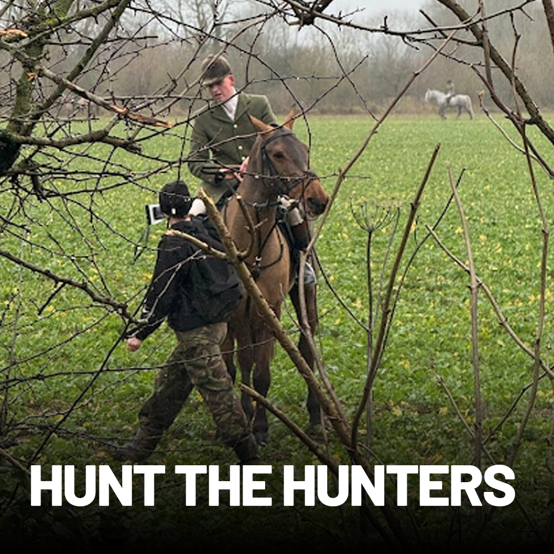 Sabs are out there recording and documenting the activities of hunts.

They're hunting the hunters!