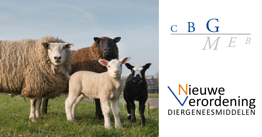 Bureau Diergeneesmiddelen publiceert nieuw kwartaaloverzicht van bedrijven in grondstoffenregister dlvr.it/TLvq38